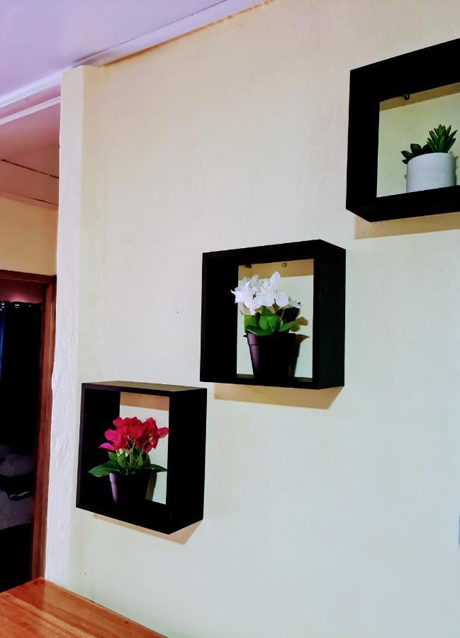 Jungle Beach Bungalow With Ac & Fiber Optic Puerto Viejo de Talamanca ภายนอก รูปภาพ