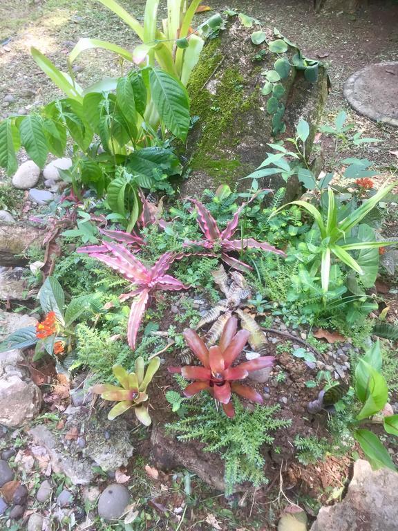 Jungle Beach Bungalow With Ac & Fiber Optic Puerto Viejo de Talamanca ภายนอก รูปภาพ